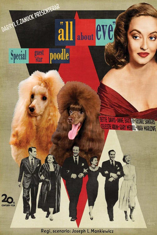 Poodle All About Eve Movie