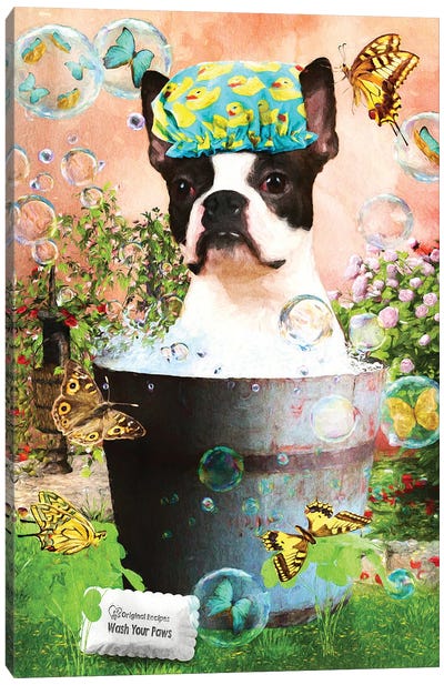 Boston Terrier Wash Your Paws Canvas Art Print - Boston Terrier Art