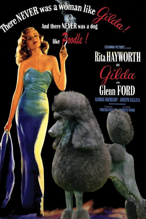 Standard Poodle Gilda Movie