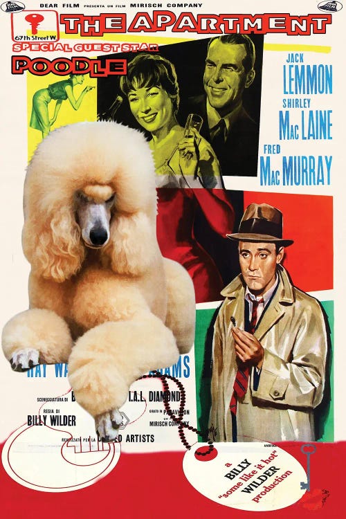 Poodle The Apartment Movie