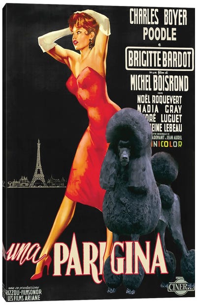 Black Poodle Una Parigina Movie Canvas Art Print - Vintage Movie Posters