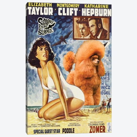 Poodle Suddenly Last Summer Movie Canvas Print #NDG425} by Nobility Dogs Canvas Print