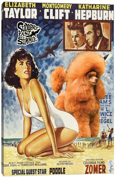 Poodle Suddenly Last Summer Movie Canvas Art Print - Elizabeth Taylor