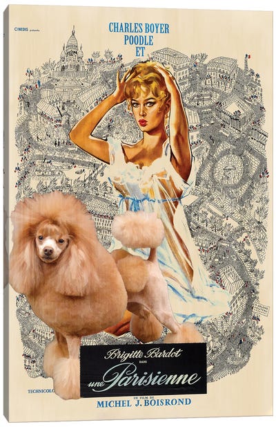 Apricot Poodle Una Parigina Movie Canvas Art Print - Vintage Movie Posters