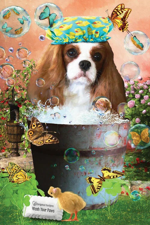 Cavalier King Charles Spaniel Wash Your Paws