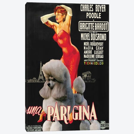 Grey Poodle Una Parigina Movie Canvas Print #NDG430} by Nobility Dogs Canvas Print