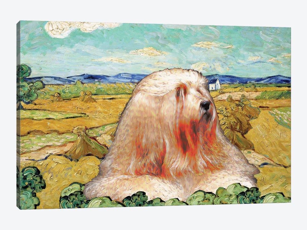 Tibetan Terrier Wheatfield by Nobility Dogs 1-piece Canvas Print