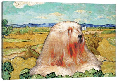 Tibetan Terrier Wheatfield Canvas Art Print