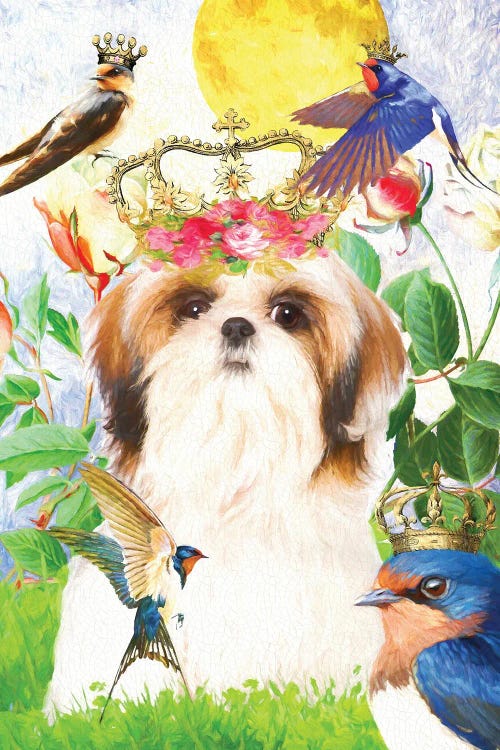 Shih Tzu Once Upon A Time