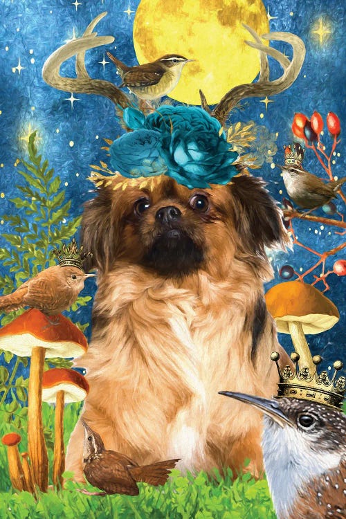 Tibetan Spaniel And Wren