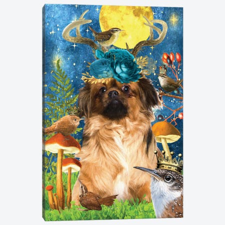 Tibetan Spaniel And Wren Canvas Print #NDG444} by Nobility Dogs Canvas Print