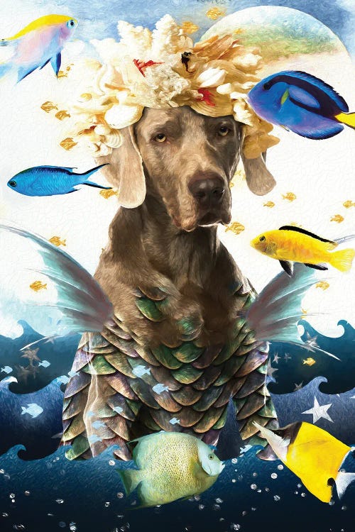 Weimaraner Mermaid