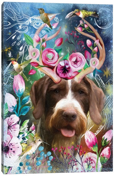 German Wirehaired Pointer And Hummingbird Canvas Art Print