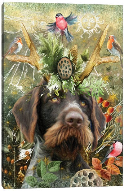 German Wirehaired Pointer Once Upon A Time Canvas Art Print - Antler Art