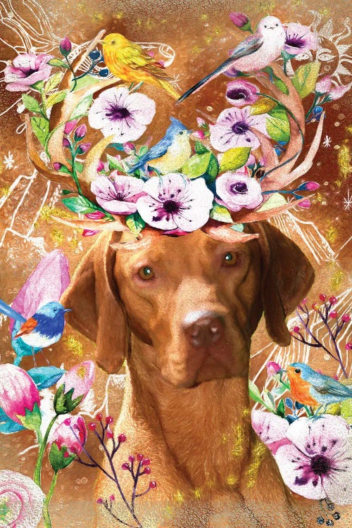 Vizsla Once Upon A Time