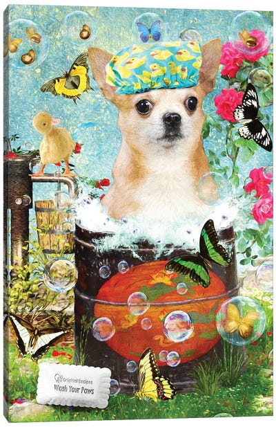 Chihuahua Wash Your Paws Canvas Art Print - Chihuahua Art