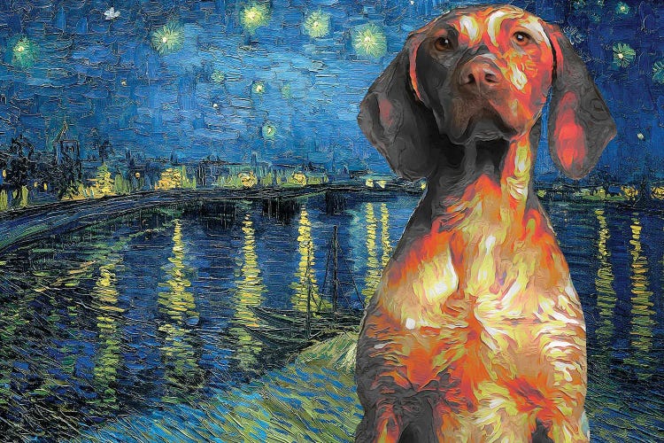 Vizsla Starry Night Over The Rhone