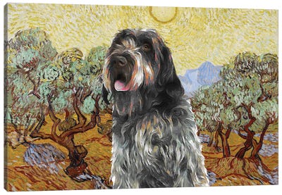 Wirehaired Pointing Griffon Olive Trees Canvas Art Print - Olive Tree Art
