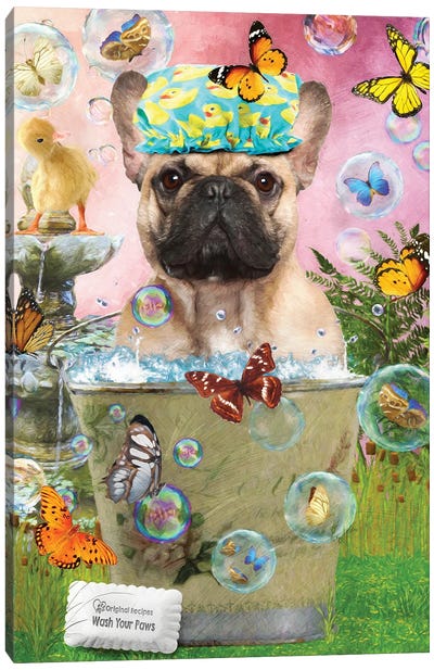 Fawn French Bulldog Wash Your Paws Canvas Art Print - French Bulldog Art