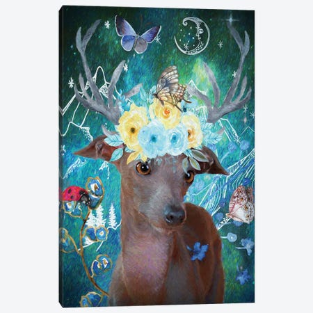 Italian Greyhound And Butterflies Canvas Print #NDG488} by Nobility Dogs Canvas Art