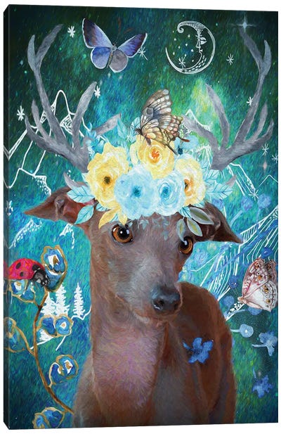Italian Greyhound And Butterflies Canvas Art Print - Italian Greyhounds
