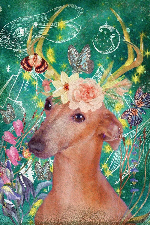 Italian Greyhound Once Upon A Time