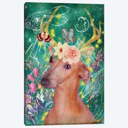 Italian Greyhound Once Upon A Time Canvas Print #NDG489} by Nobility Dogs Canvas Wall Art