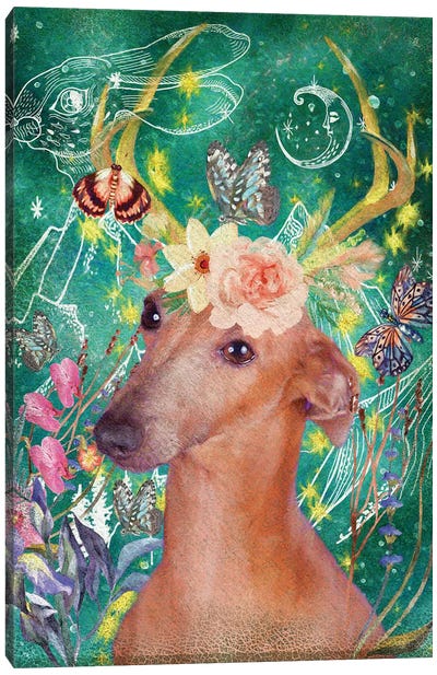 Italian Greyhound Once Upon A Time Canvas Art Print - Italian Greyhounds