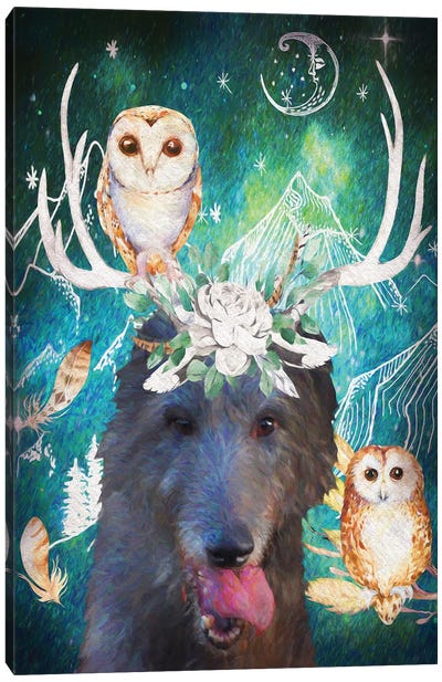 Scottish Deerhound And Owl Canvas Art Print - Antler Art