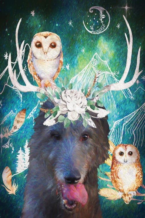 Scottish Deerhound And Owl