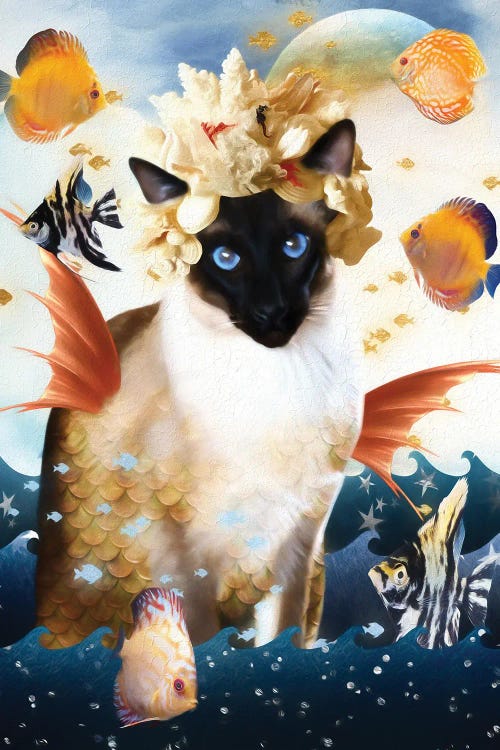 Siamese Cat Mermaid