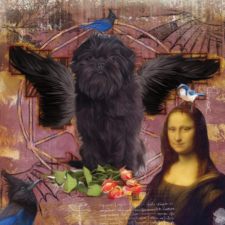 Affenpinscher Angel Da Vinci