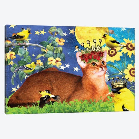 Abyssinian Cat And American Goldfinch Canvas Print #NDG507} by Nobility Dogs Canvas Art