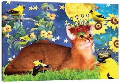 Abyssinian Cat And American Goldfinch Canvas Art Print - Abyssinian Cats