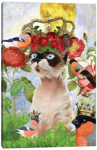 Devon Rex Cat And Bullfinch Canvas Art Print - Finch Art