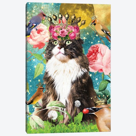 Maine Coon Cat And Waxwing Canvas Print #NDG513} by Nobility Dogs Canvas Artwork