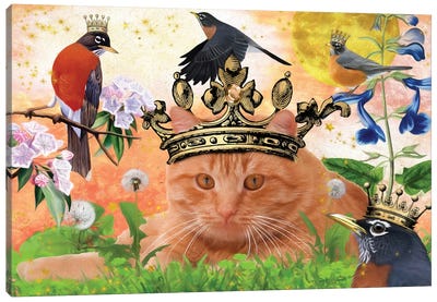 Red Tabby Cat And Robin Bird Canvas Art Print - Orange Cat Art