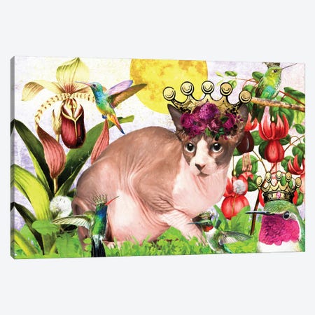 Sphynx Cat And Hummingbird Canvas Print #NDG520} by Nobility Dogs Canvas Print