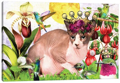 Sphynx Cat And Hummingbird Canvas Art Print - Sphynx