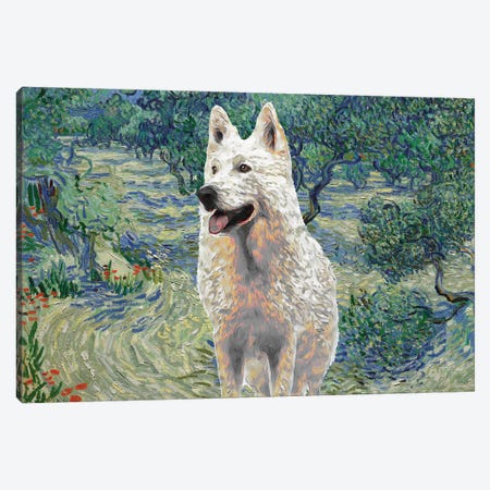 White Shepherd Olive Orchard Canvas Print #NDG527} by Nobility Dogs Canvas Artwork