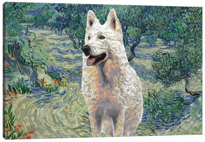 White Shepherd Olive Orchard Canvas Art Print - German Shepherd Art
