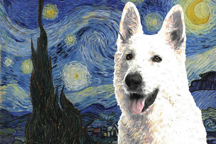 White Shepherd Starry Night