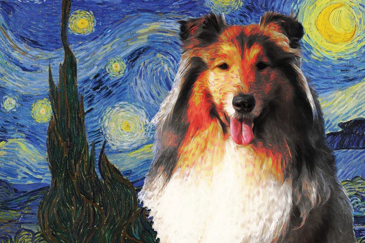 Rough Collie The Starry Night