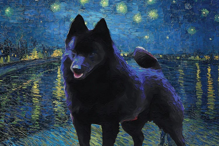 Schipperke Starry Night Over The Rhone