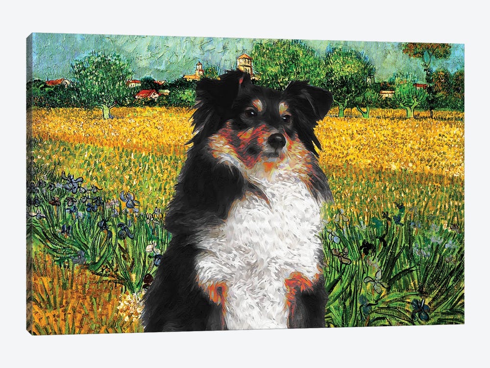 Shetland Sheepdog Sheltie View Of Arles With Irises by Nobility Dogs 1-piece Canvas Art Print