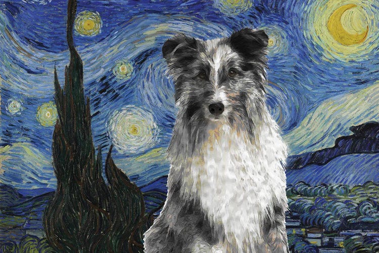 Shetland Sheepdog Sheltie Blue Merle The Starry Night