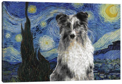 Shetland Sheepdog Sheltie Blue Merle The Starry Night Canvas Art Print