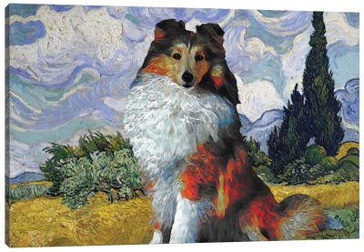 Shetland Sheepdog Sheltie Wheat Field With Cypresses Canvas Art Print