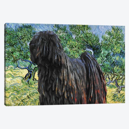 Puli Dog Olive Grove Canvas Print #NDG560} by Nobility Dogs Art Print