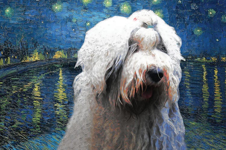 Old English Sheepdog Starry Night Over The Rhone